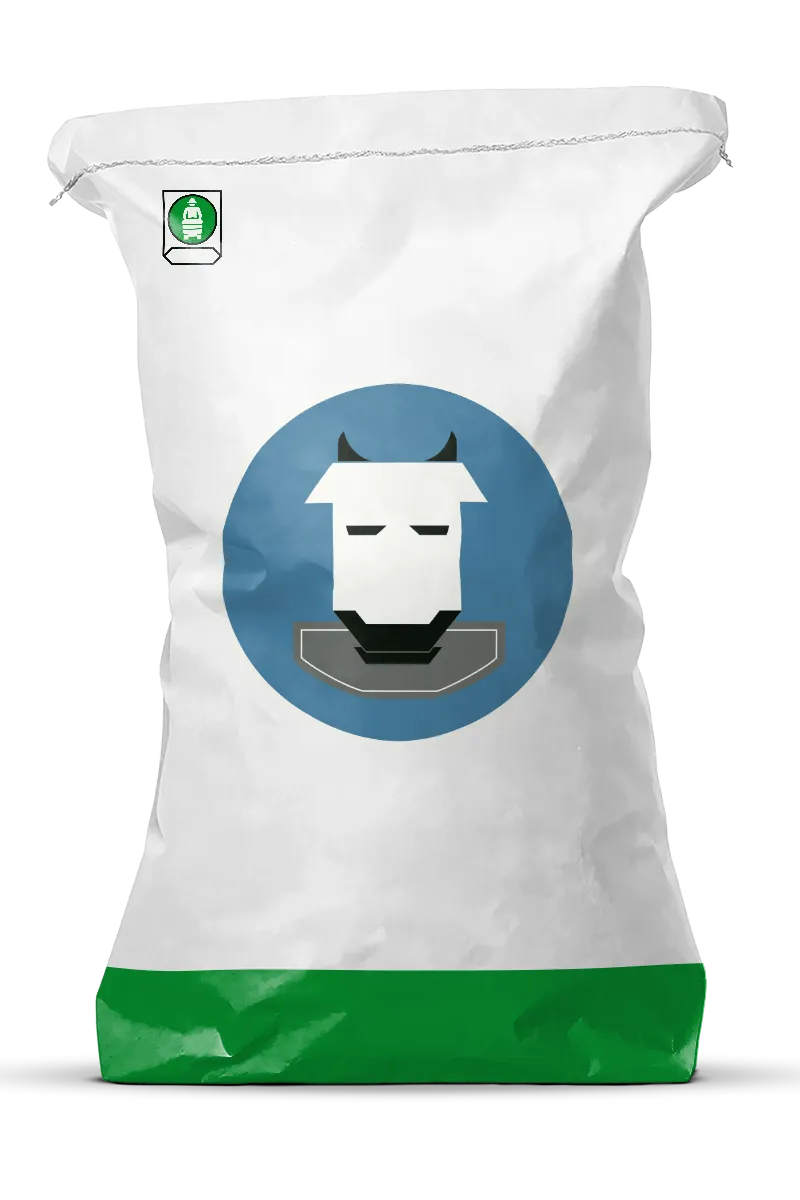Mockup Kreuzbodensack Kuh