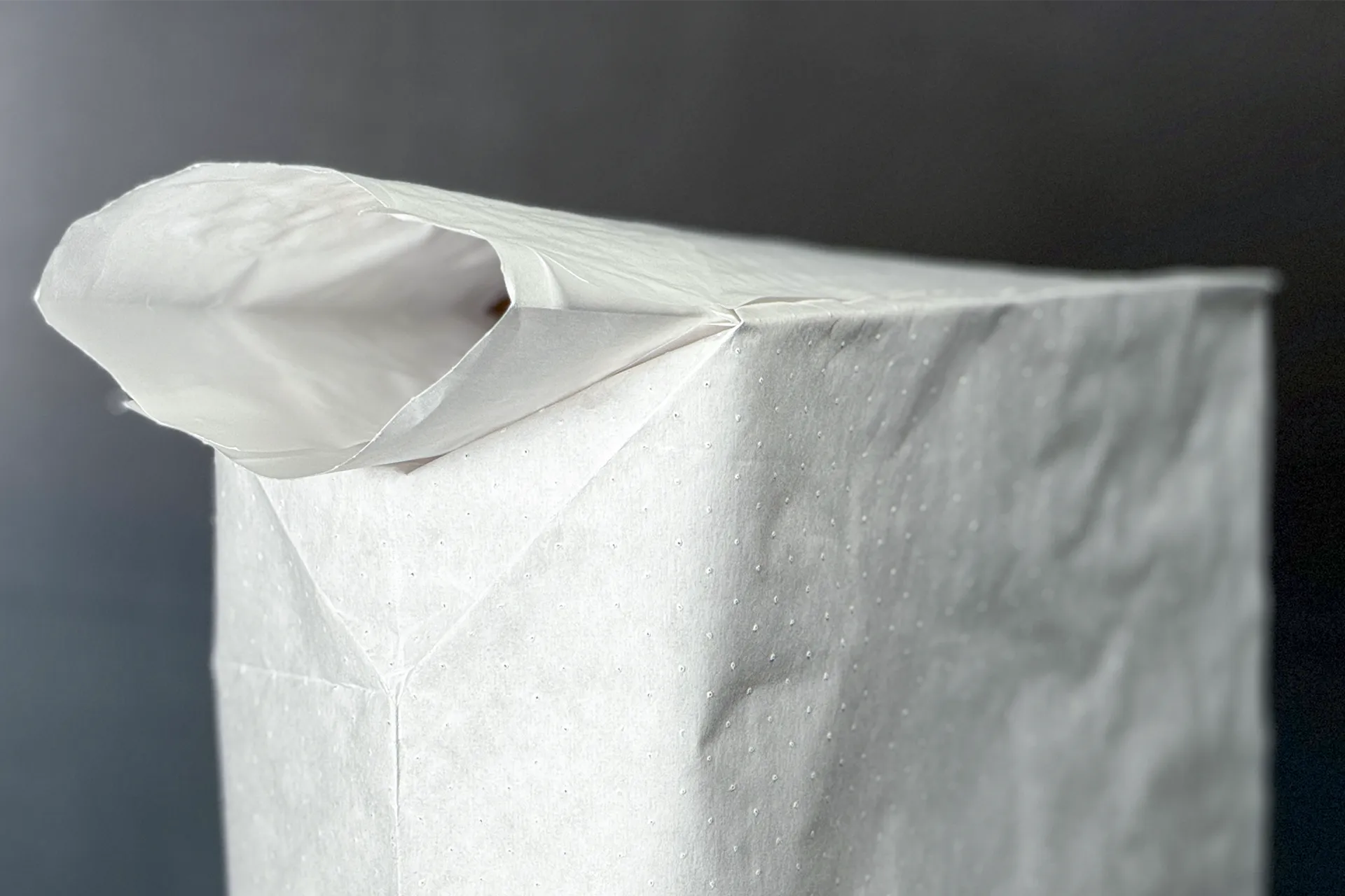 Ventilsack Aussenliegend 2474