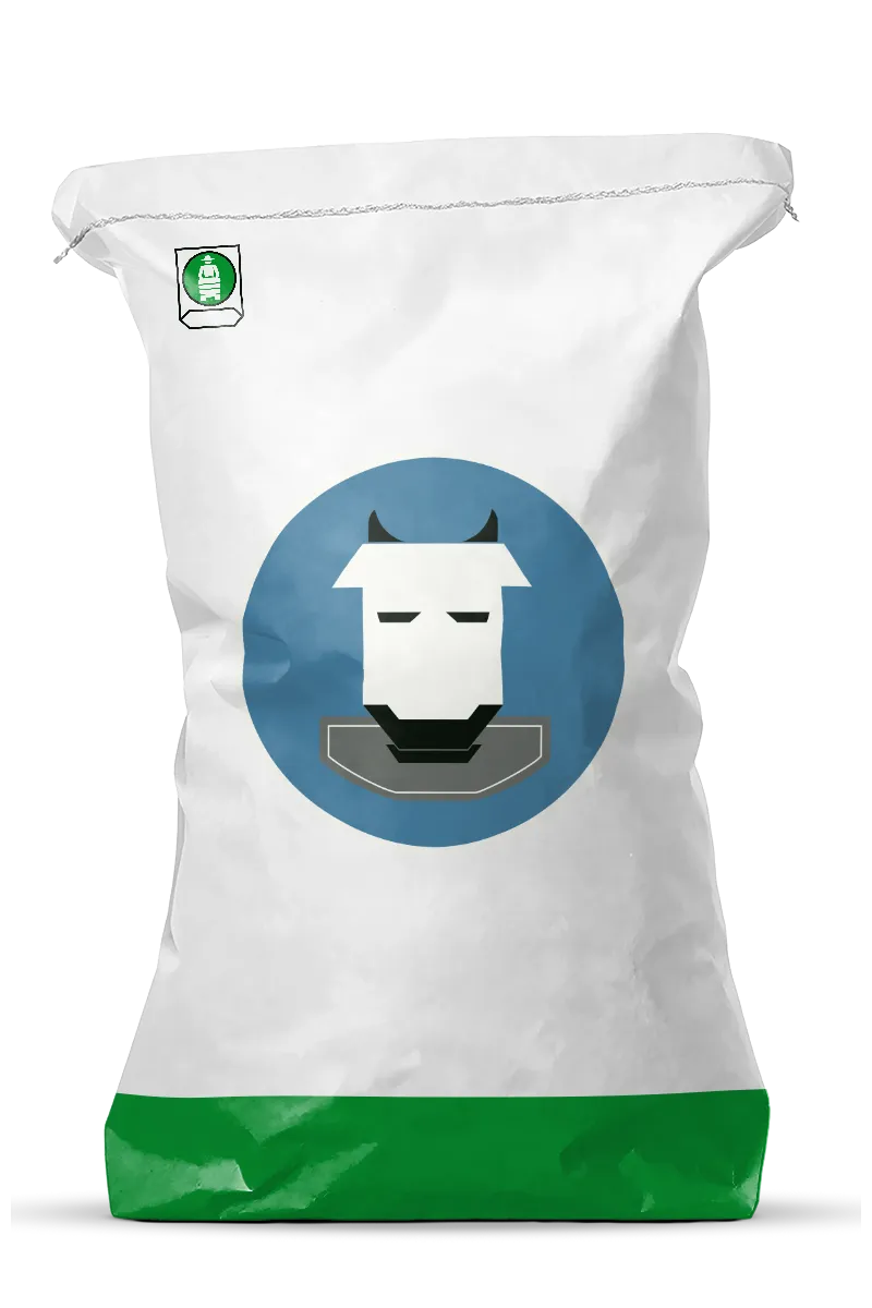 Mockup Kreuzbodensack Kuh 1